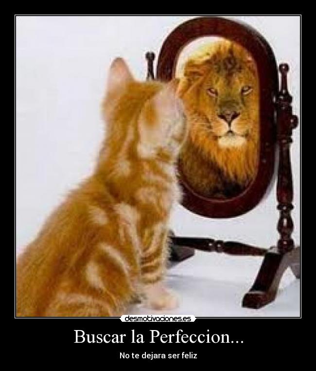 ¿Existe la perfección en el ser&nbsp;Humano?