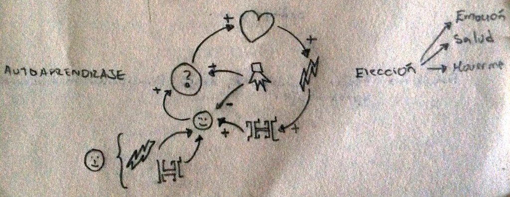 Memorias Gráficas Para Vivir Aquí y Ahora Parte 4/4 –&nbsp;Autoaprendizaje