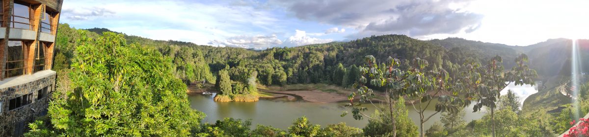 El verdadero poder del ser humano