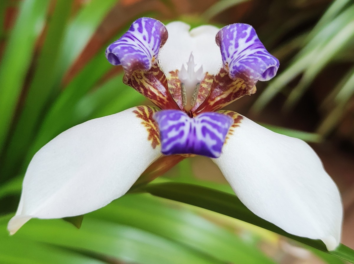 ¿Cómo Recupero mi Poder?. El universo esta allí para experimentarlo, no para vivir con&nbsp;temor.