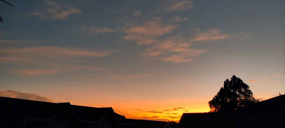 La Alegria de la vivir es&nbsp;Ahora